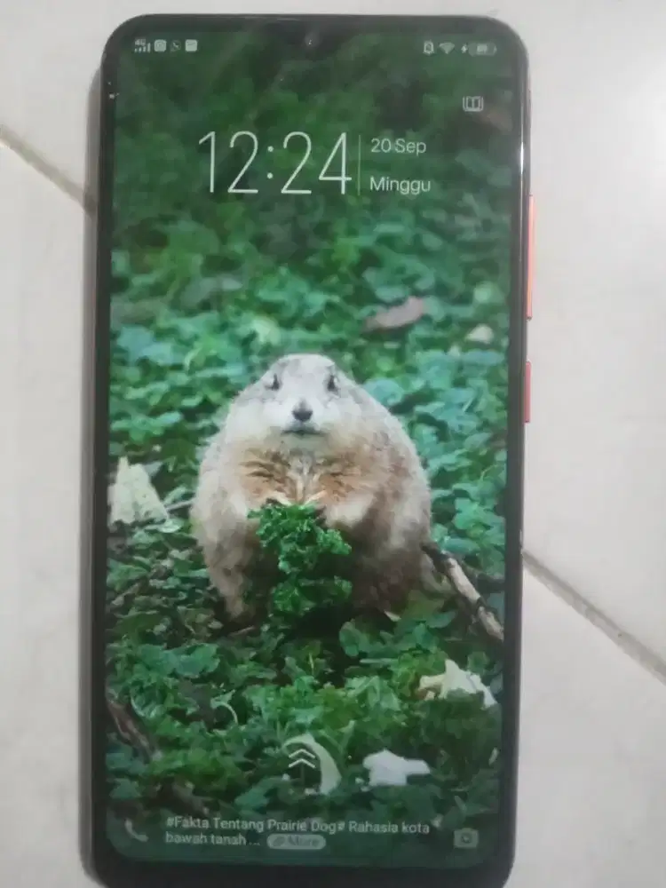 Hp Vivo Y95 Ram 4