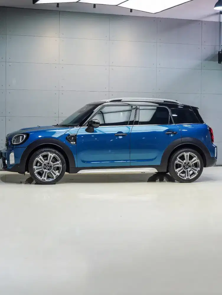 Mini Cooper S (Countryman F60) Terawat