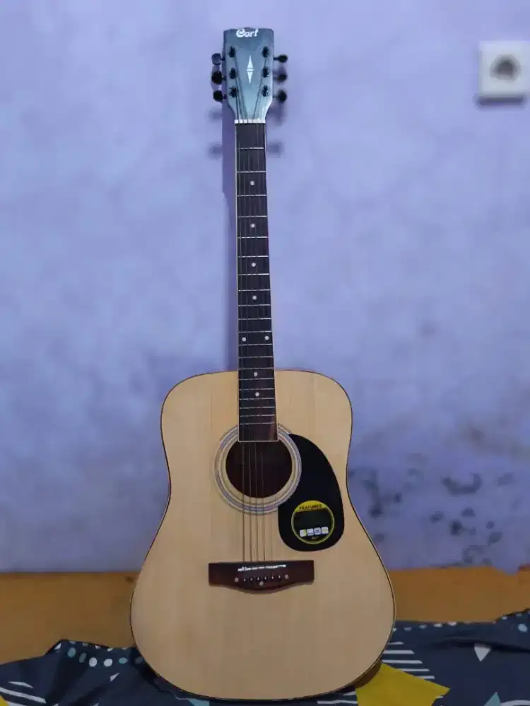 Gitar Cort AD 810 OP
