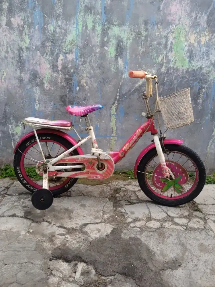 Sepeda anak wimcyle tipe strawberry ukuran 16