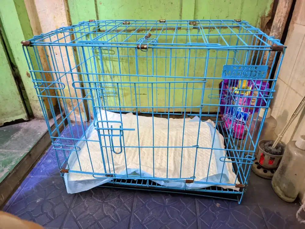 Kandang kucing dan anjing ukuran 60