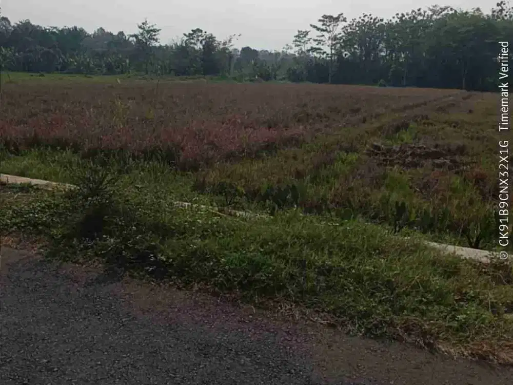 tanah strategis ploting kuning dekat alun2 kajen