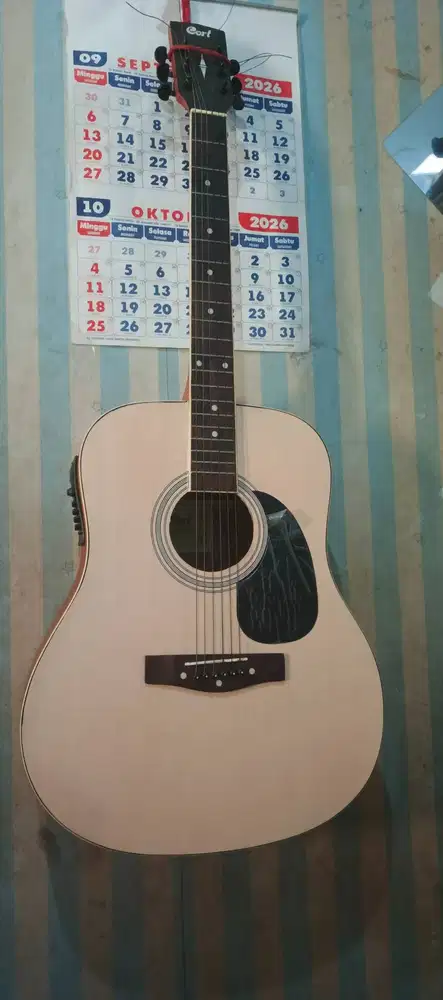 Gitar Elektrik Cort