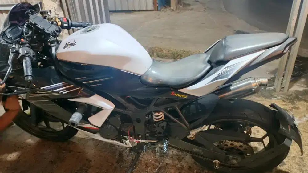 Ninja mono 250rr 2014