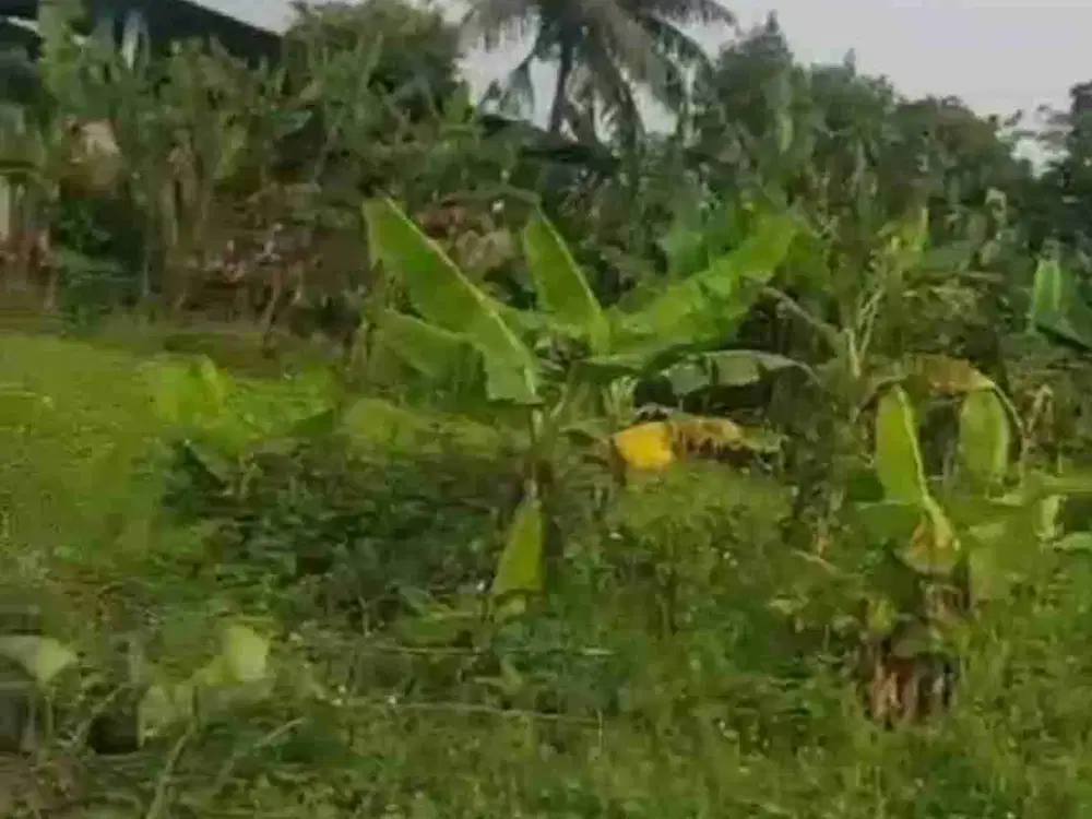 tanah datar ploting industri legok baNten
