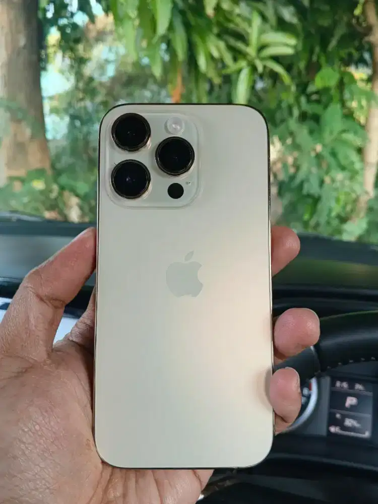Bismillah dijul iphone 14 pro inter 256 gb gold