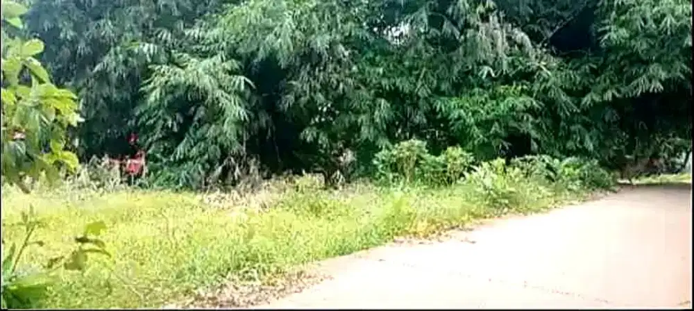 TANAH DIJUAL DEKAT STASIUN CISAUK – HARGA 390 JUTA, LOKASI STRATEGIS!