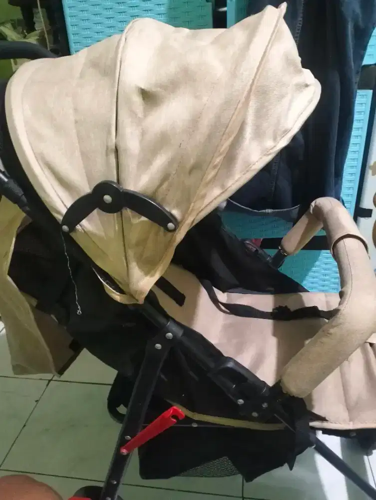 Stroller kitty mom