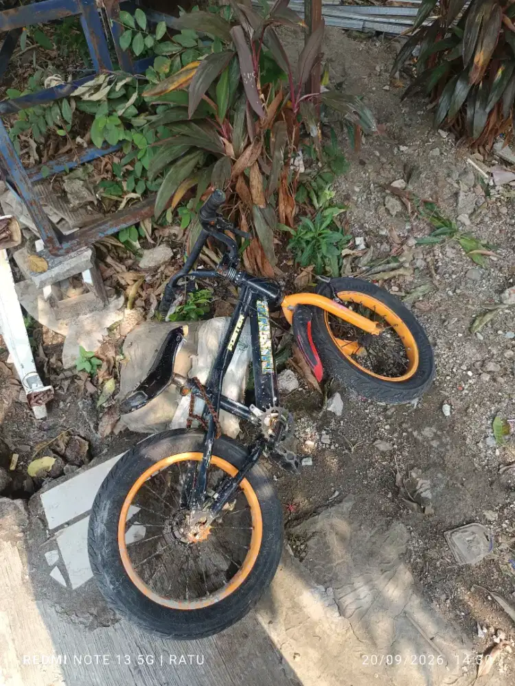 Sepeda Anak Bekas