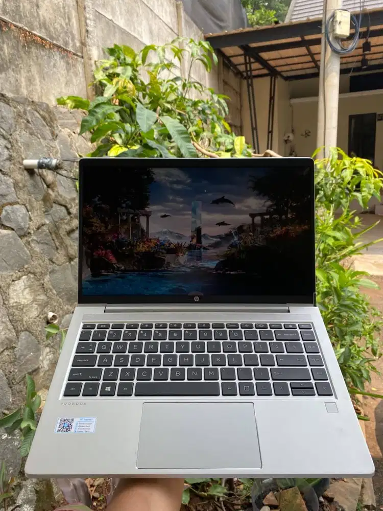 HP PROBOOK 445 RYZEN 5 5600U RAM 8/256
