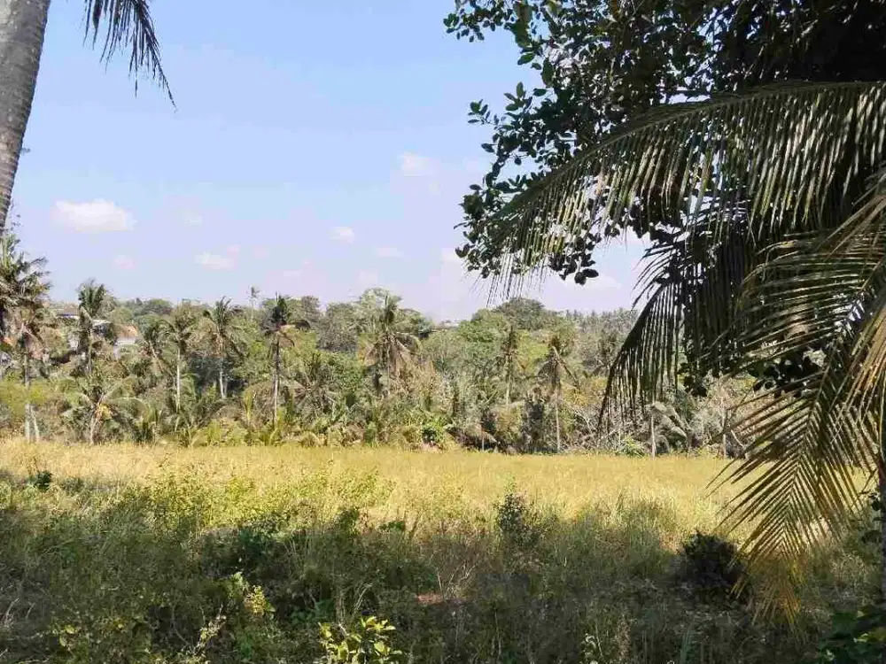 Dijual tanah kering pinggir jln raya view sungai zona kuning