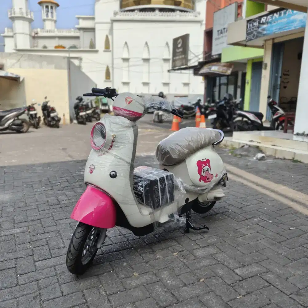 Sepeda Listrik Murah Siap Pakai, Garansi Resmi Panjang