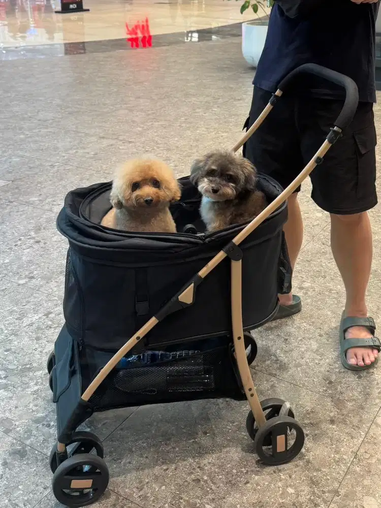 Pet Stroller Anjing Kucing Jual Cepat