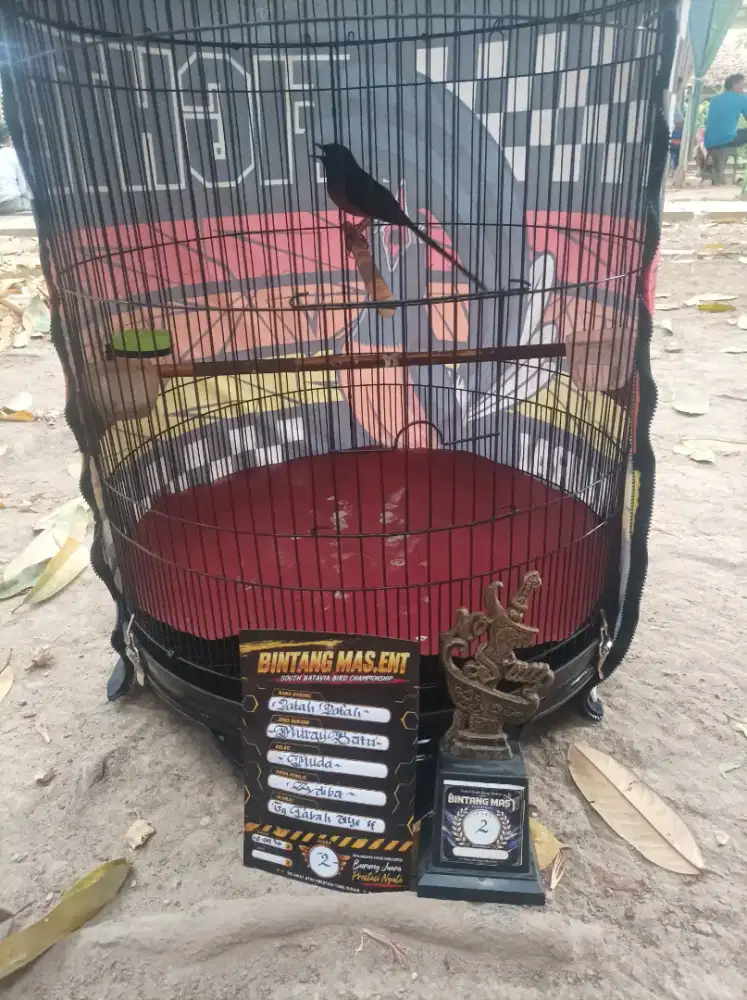 Muray prestasi siap diajak jalan jalan