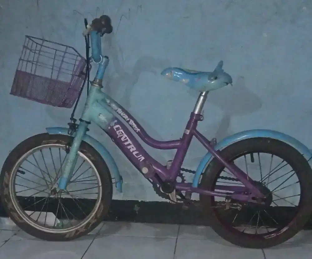 Sepeda anak perempuan UK 16 centrum