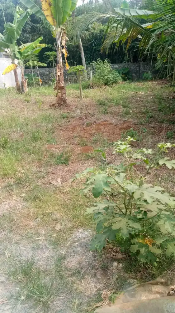 Dijual lahan murah