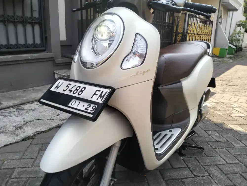 Scoopy th 2023 kayles