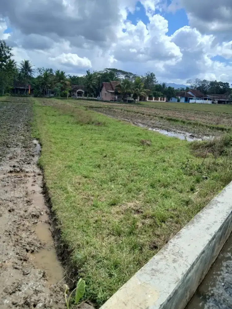 TANAH STRATEGIS & ASRI 409m² KECAMATAN MINGGIR, SLEMAN YOGYAKARTA -