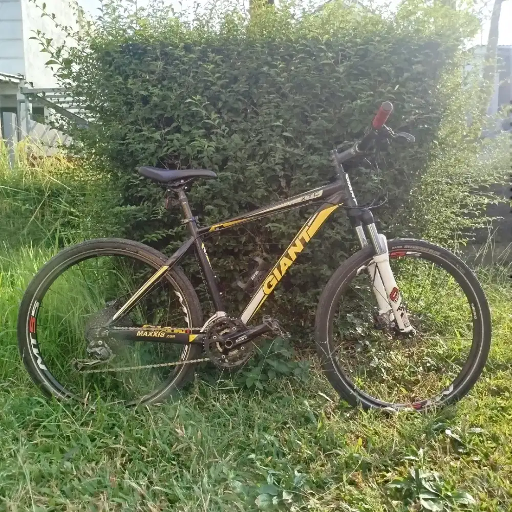 Sepeda Giant XTC