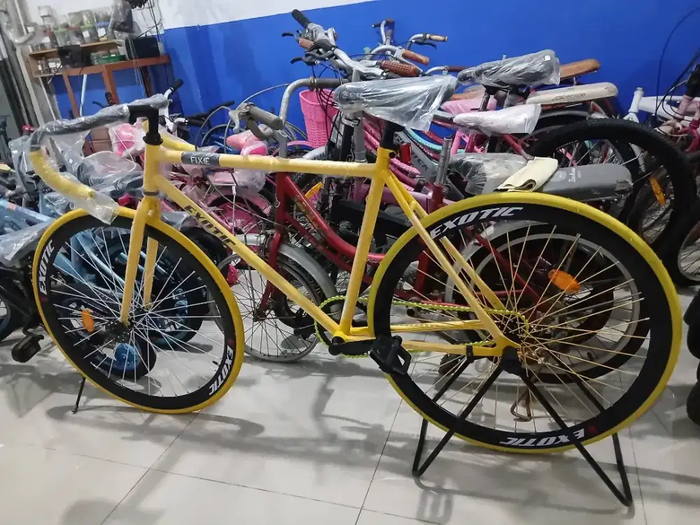 Sepeda Fixie Exotic (Baru)