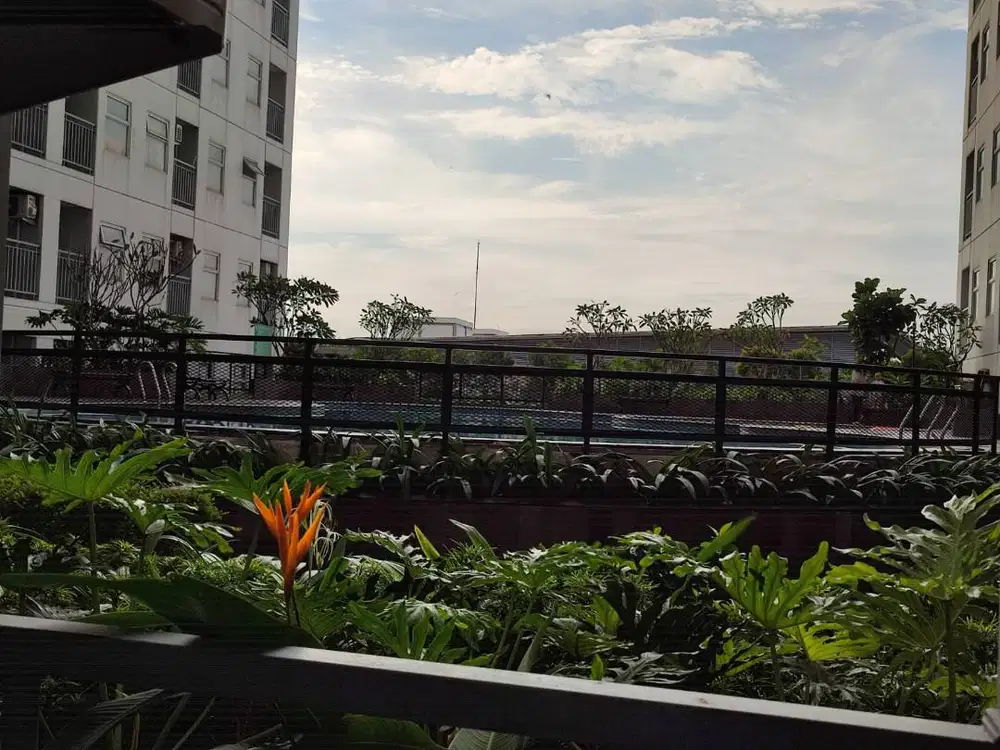 Disewakan Type Studio Serpong Garden Apartment Lt. 3