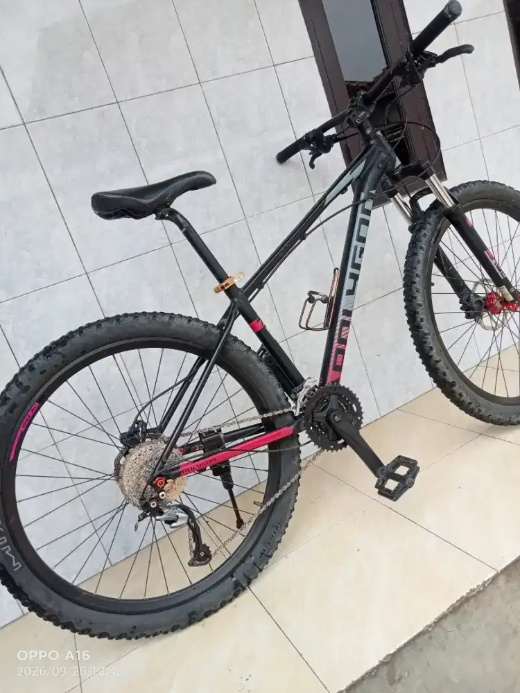 polygon premier 5 jangkrik keras meroca