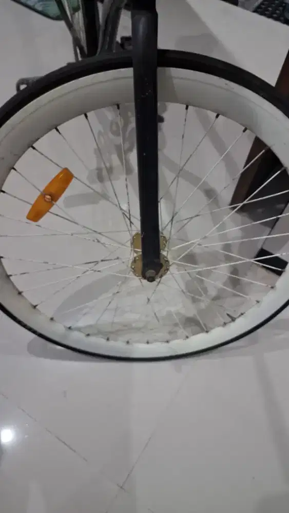 Sepeda Fixie Bekas