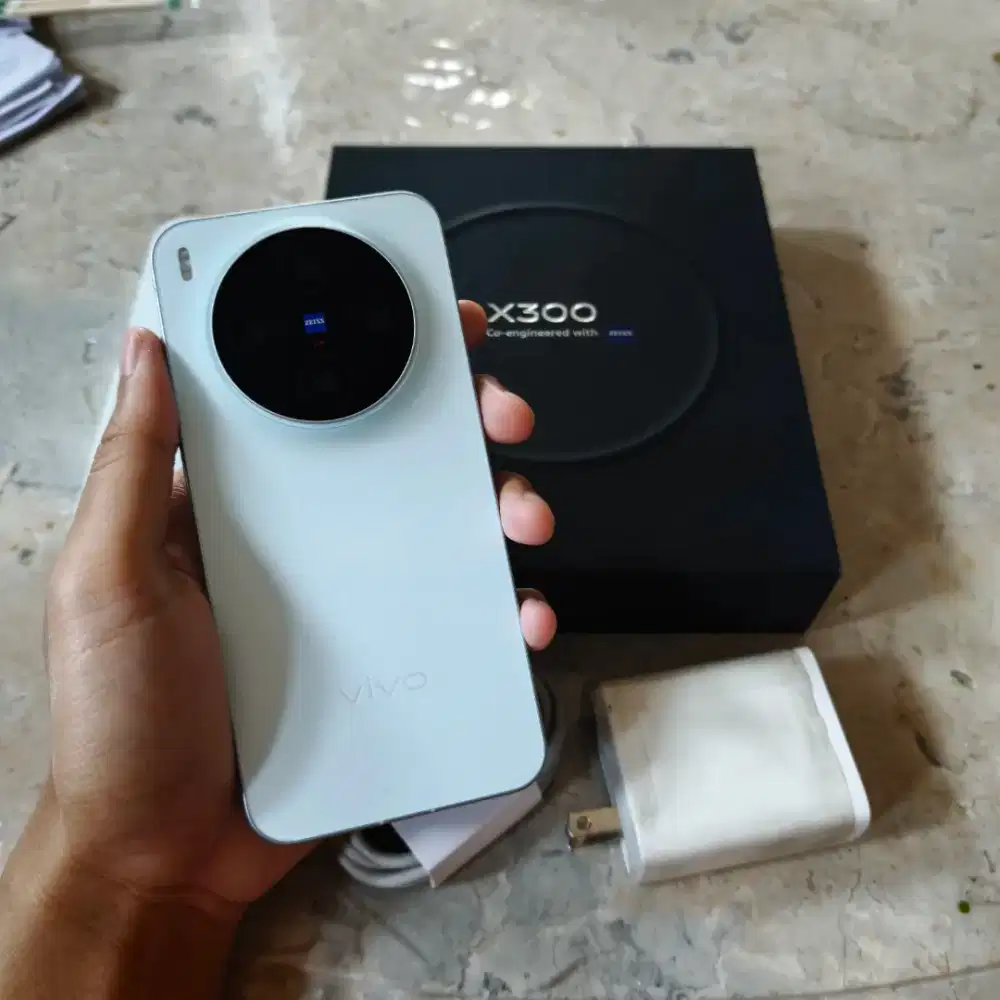Vivo X300 12/256