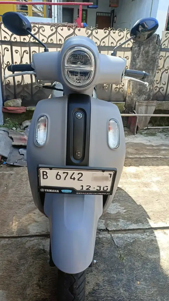 Fazzio Hybird 2025