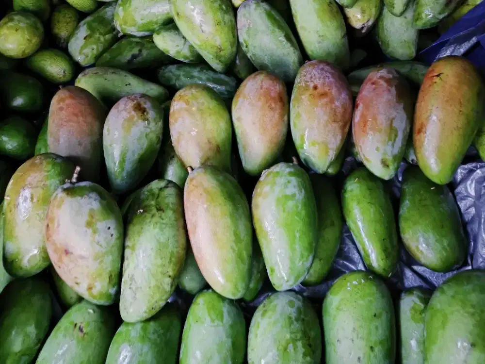 Jaga Stand Buah