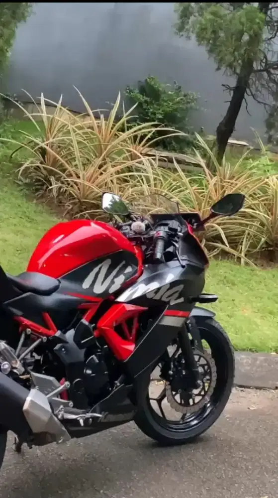 Ninja mono 2019