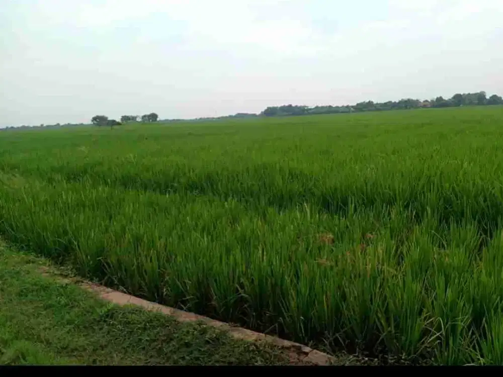 tanah ploting industri murah luas