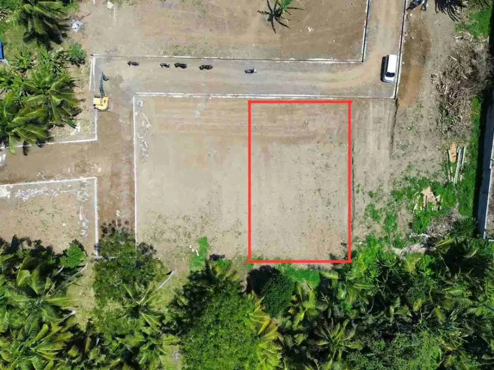 Tanah 300m² View Jungle di Sakah Ubud Gianyar