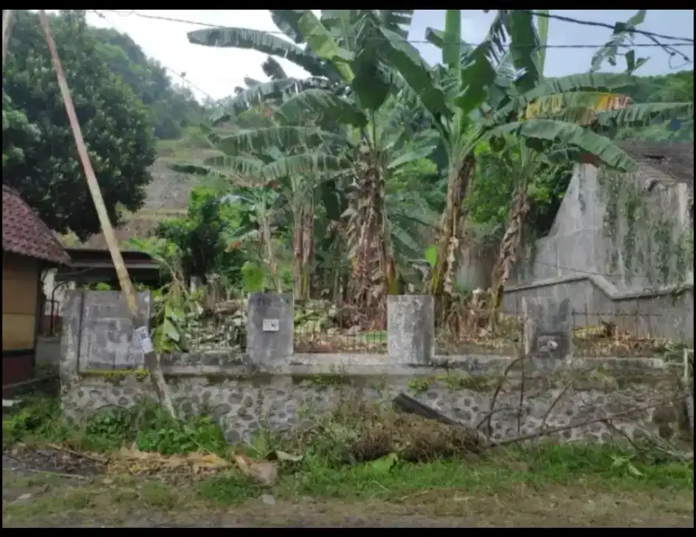 Tanah di Senggigi dijual BU