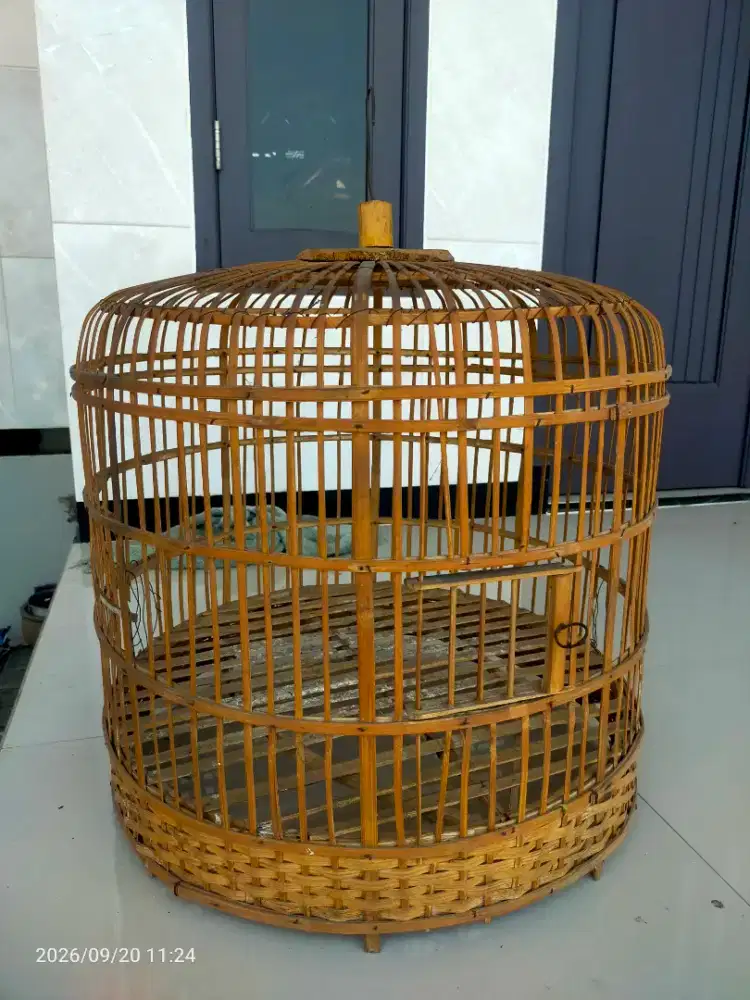 Sangkar ayam dan burung