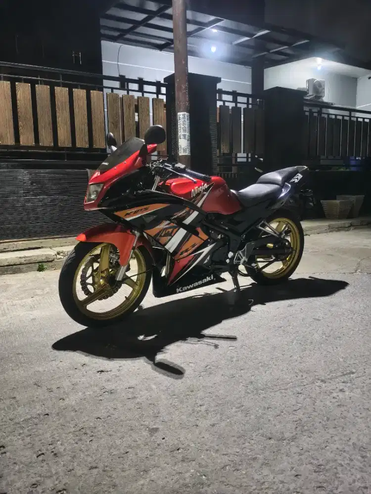 Kawasaki Ninja RR New SE 2014