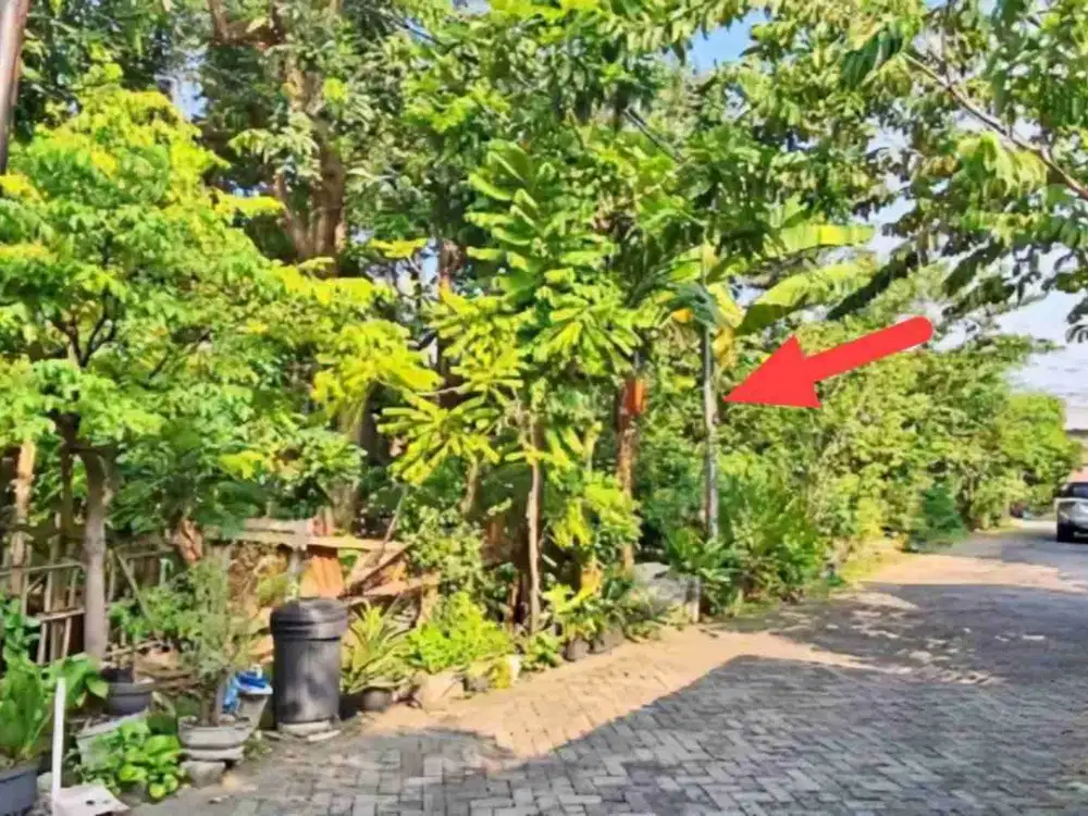 tanah murah semolowaru