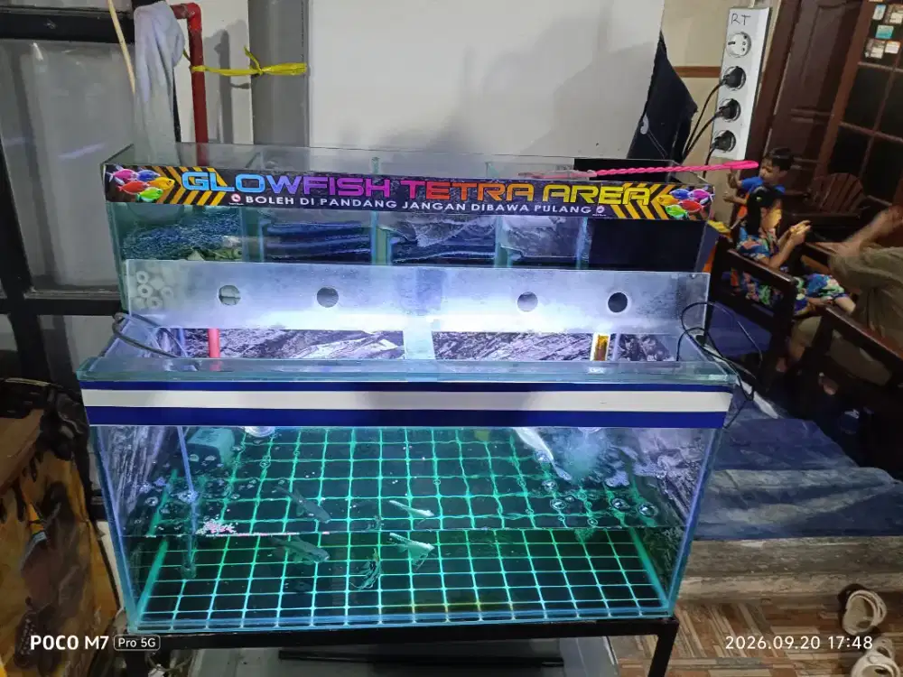 aquarium aqua scape