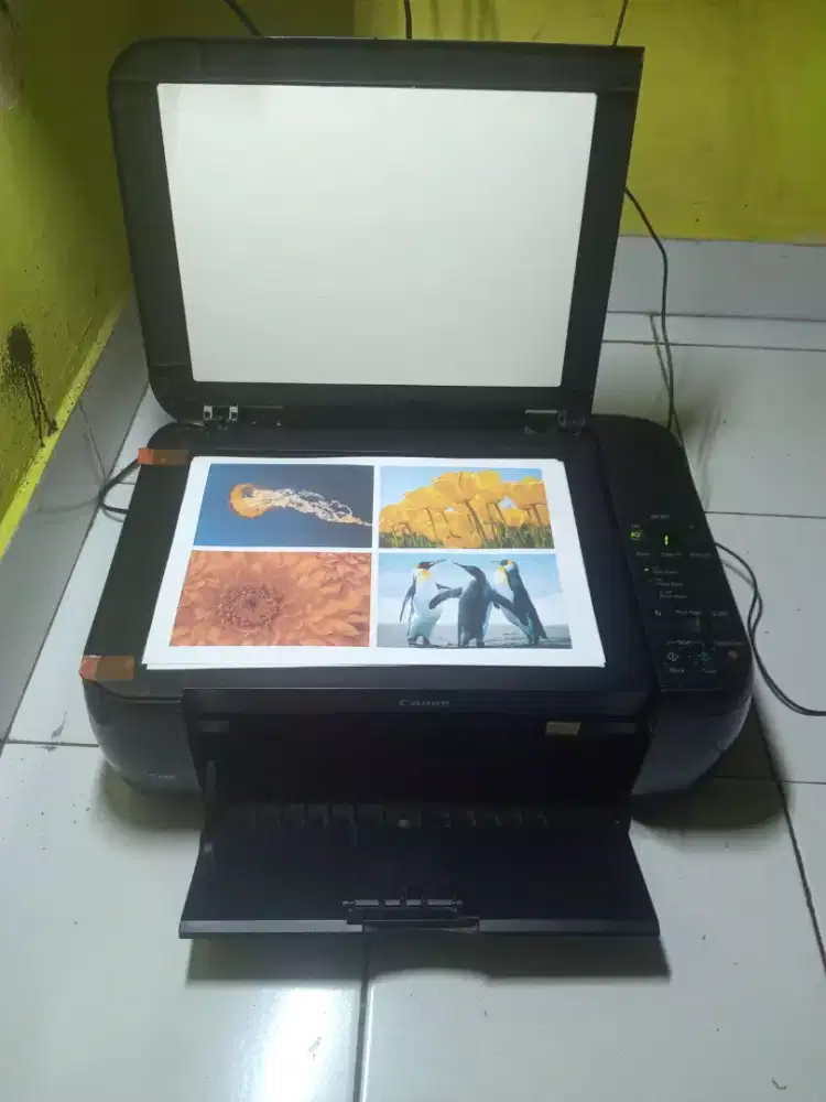 Printer Canon mp287 print scan copy