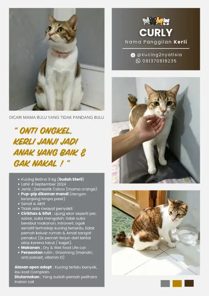 DICARI MAMA BULU YANG TIDAK PANDANG BULU