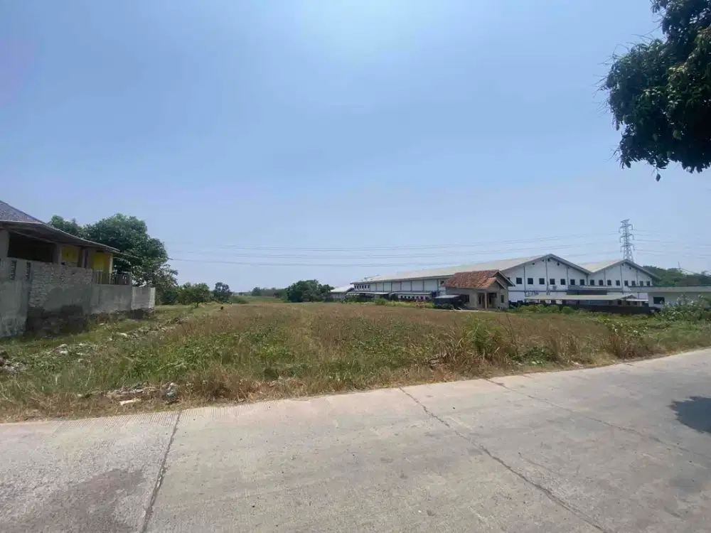 Tanah Sawah Kepuh Palimanan Murah Ajb