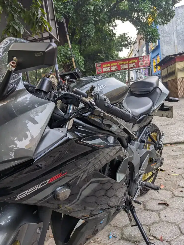 KAWASAKI NINJA 250 SL