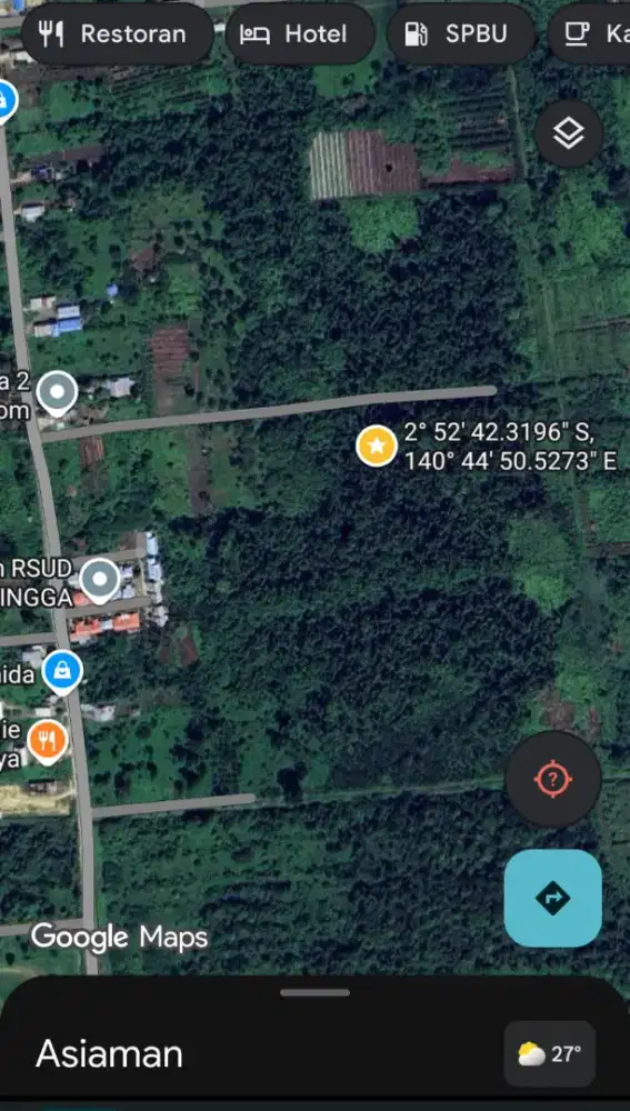 Lahan bekas kelapa sawit