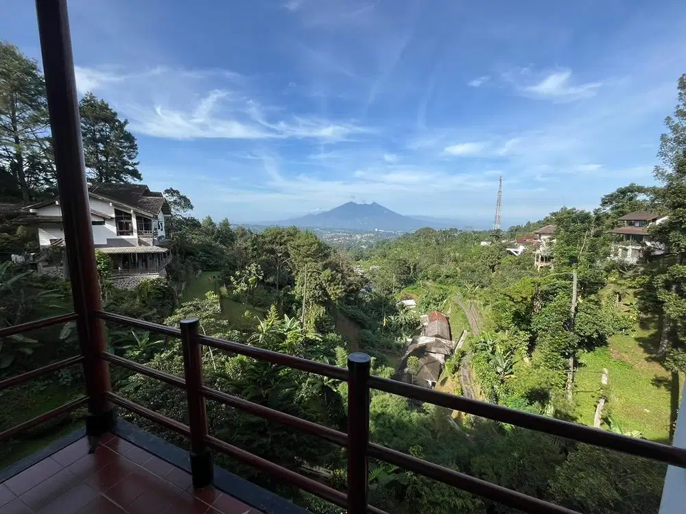 Tanah Villa hanya untuk yang suka alam hutan
