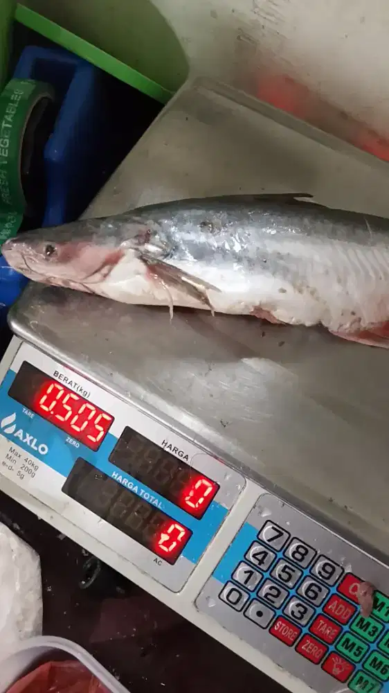 Dicari kurir untuk belanja sayuran dan ikan di pasar