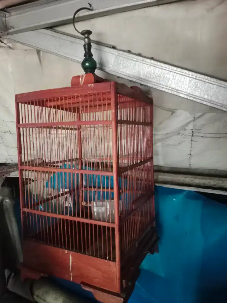 Kandang burung bekas ciblek