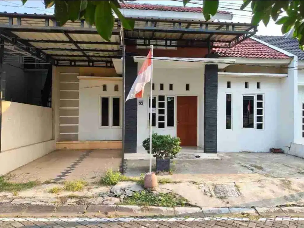 Dikontrakan Rumah dkt Undip Tembalang