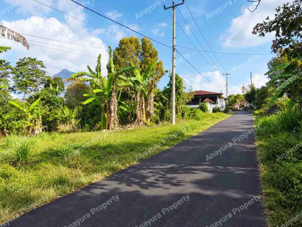 Tanah Wanagiri Bedugul Dekat Munduk