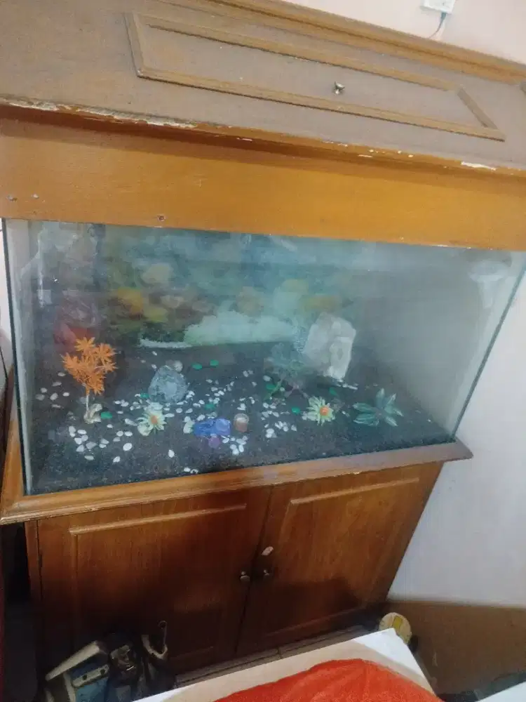 Jual cepat aquarium