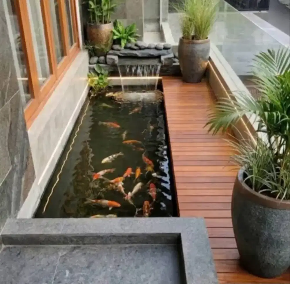 Tukang kolam ikan koi